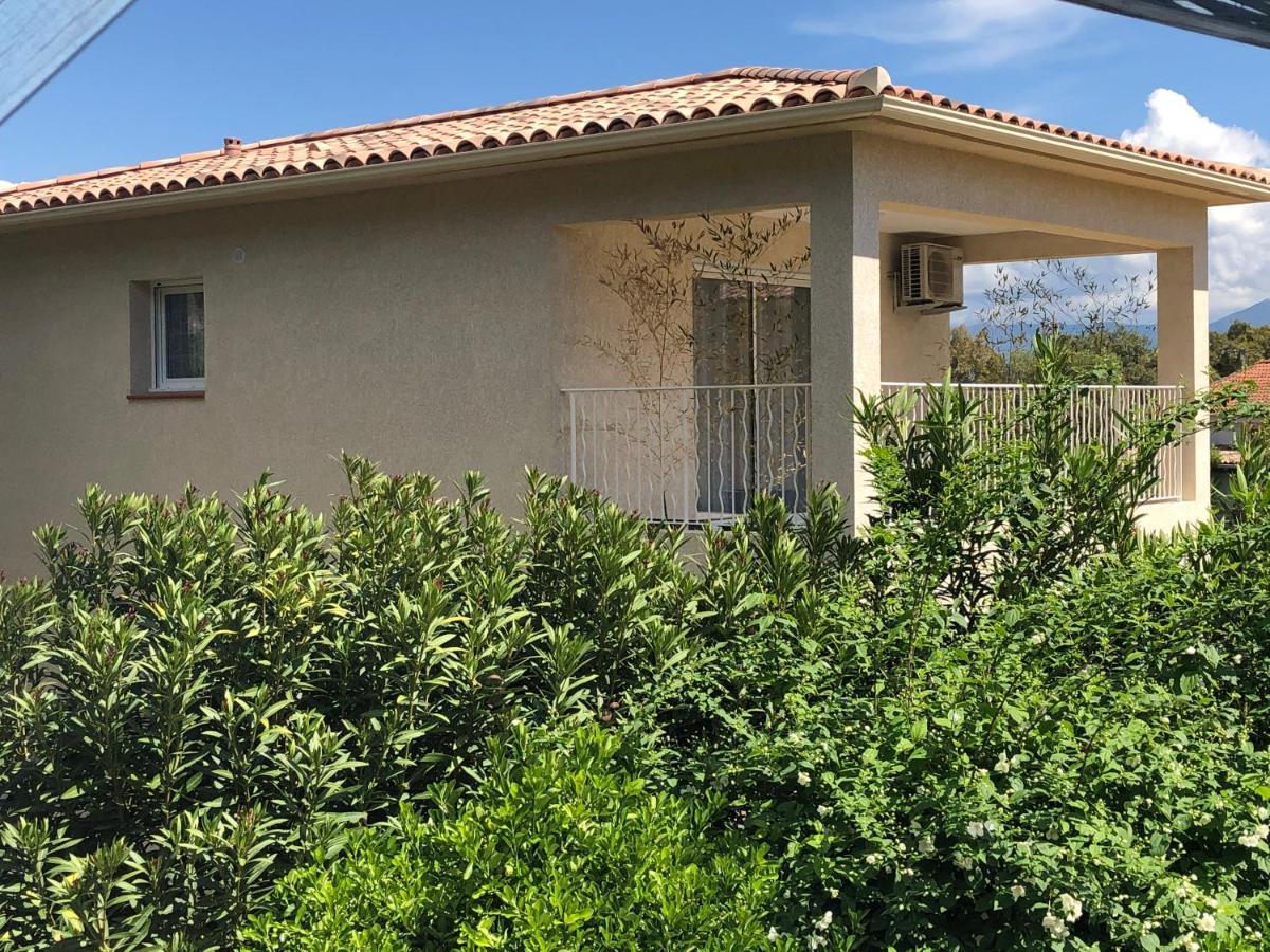 Villa L'Alivu Ajaccio  Exterior foto