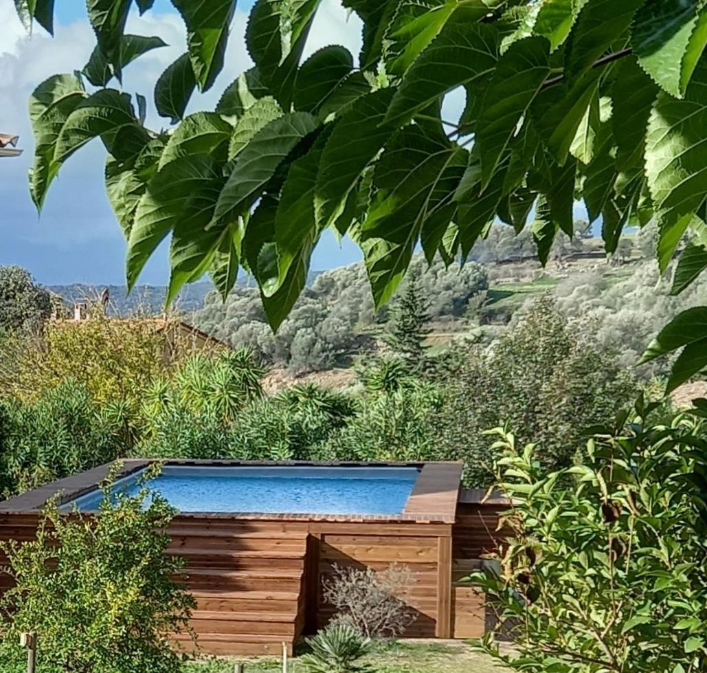 Villa L'Alivu Ajaccio  Exterior foto